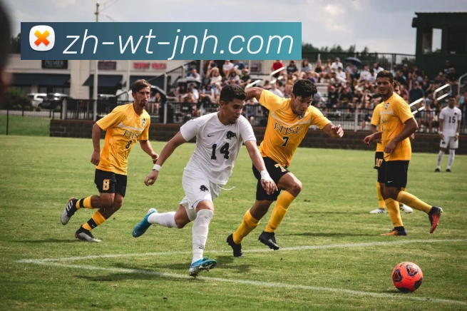 多媒体互动体验